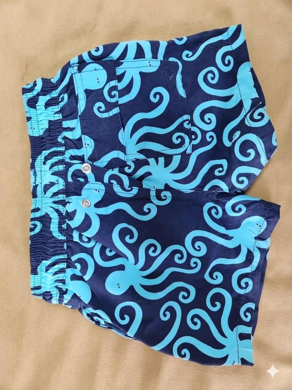 Tom & Teddy Navy & Aqua Octopus Swim Trunks